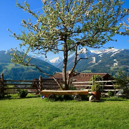 Rettensteiner