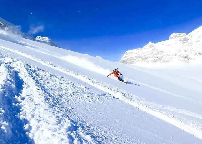 Daire Rettensteiner *